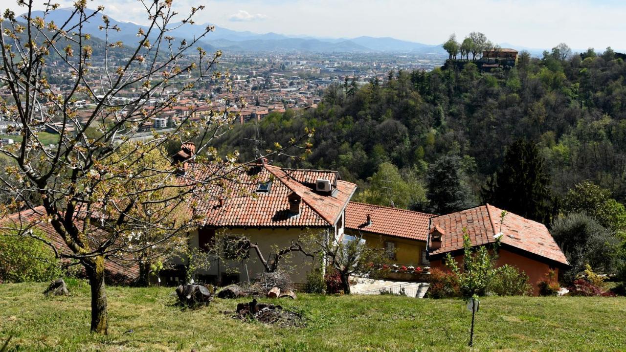 Il Giardino Di Berbech Citta Alta-Ulivo Lägenhet Bergamo Exteriör bild