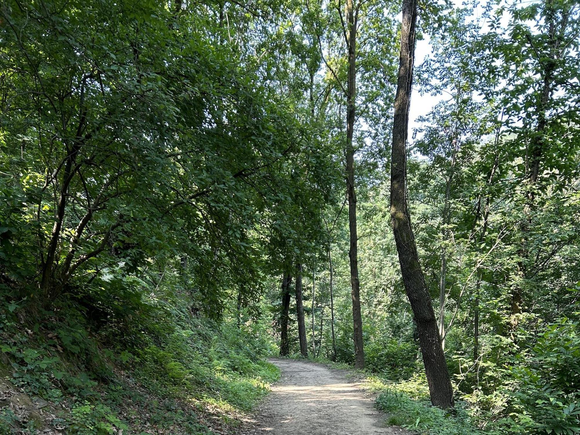 Il Giardino Di Berbech Citta Alta-Ulivo Lägenhet Bergamo Exteriör bild